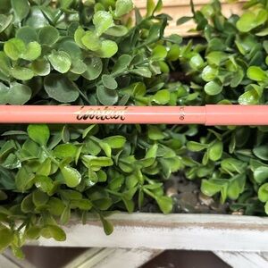 Tarte Lip Liner in Coral